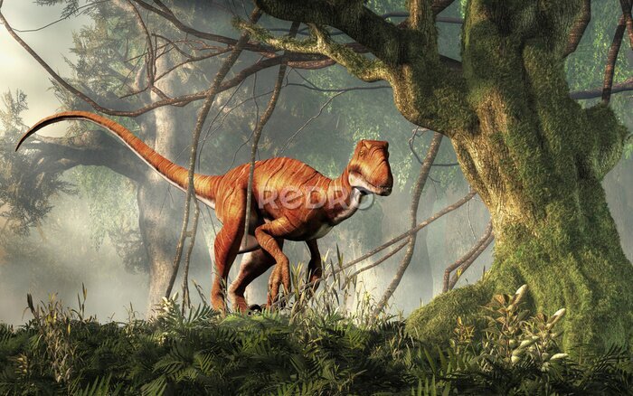 Poster  Motif tropical avec un dinosaure dans la jungle
