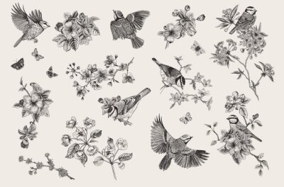 Motif vintage avec des oiseaux au milieu de fleurs délicates