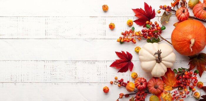 Poster  Motifs d'automne sur fond blanc