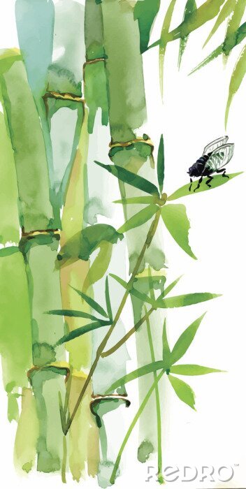 Poster  Motifs de bambou avec des insectes