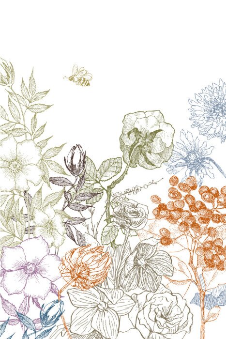 Poster  Motifs de plantes minimalistes illustration simple