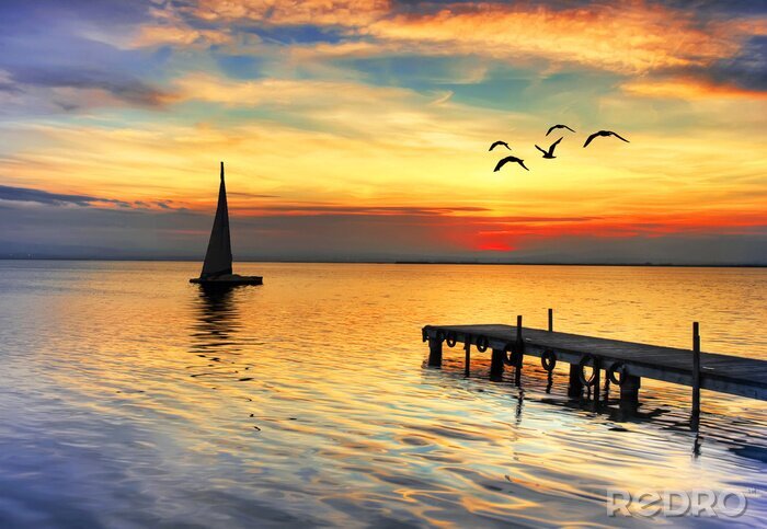 Poster  Mouettes et un voilier au coucher du soleil