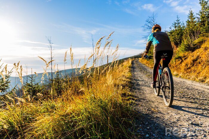 Poster  Mountain biking woman riding on bike in summer mountains forest landscape. Woman cycling MTB flow trail track. Outdoor sport activity.