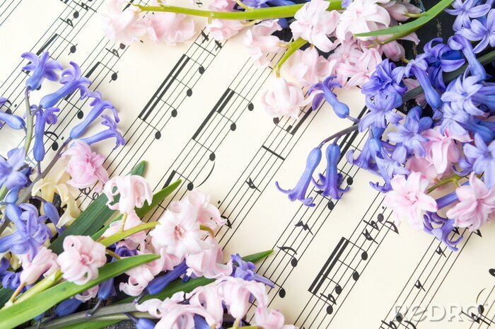 Poster  Musique, note, feuille, jacinthe, fleurs