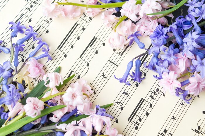 Poster  Musique, note, feuille, jacinthe, fleurs