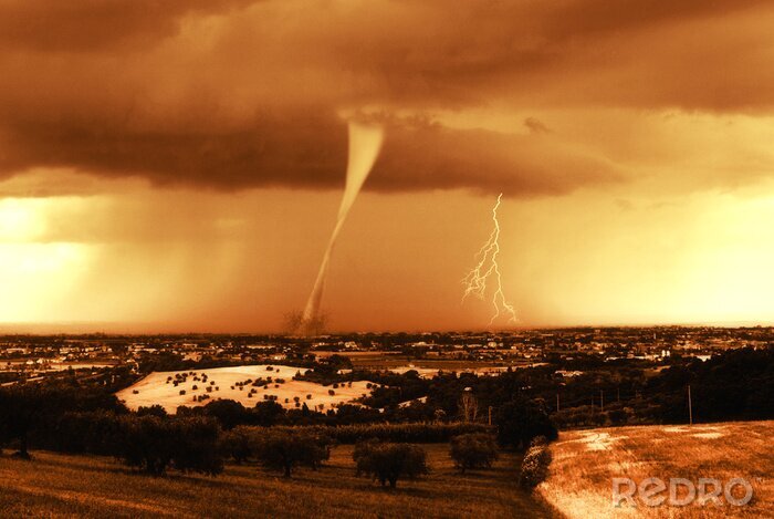 Poster  Nature en sépia