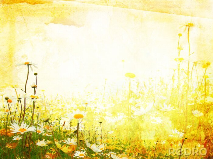 Poster  Nature ensoleillée