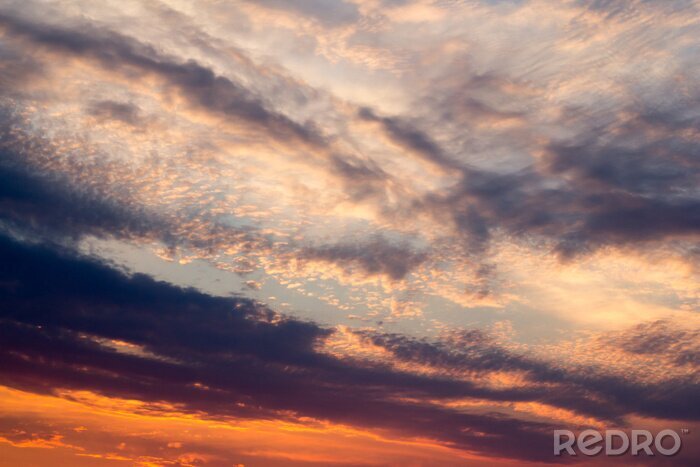 Poster  Nature et ciel sombre