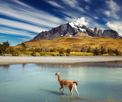 Poster  Nature et montagnes au Chili