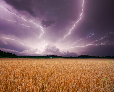 Poster  Nature et tempête sur le terrain