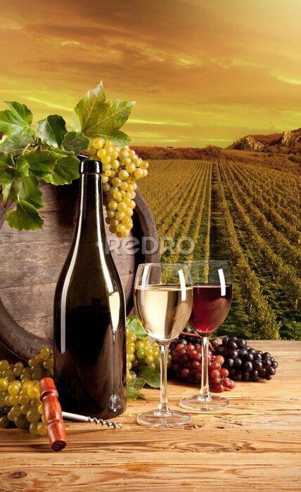 Poster  Nature morte avec une bouteille de vin sur fond de vignoble