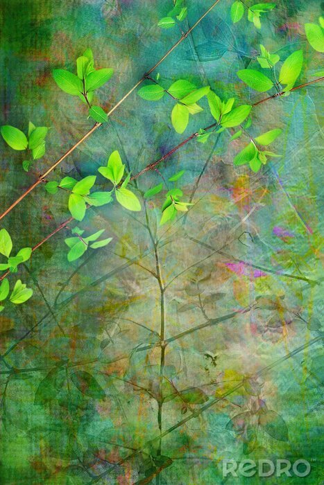 Poster  Nature sur fond vert