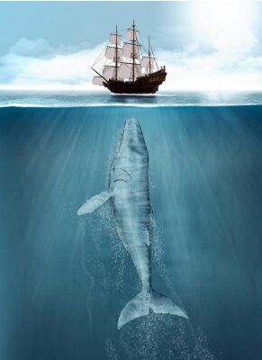 Poster  Navire et baleine à bosse