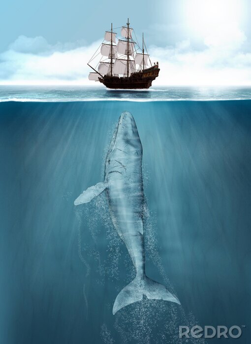 Poster  Navire et baleine à bosse