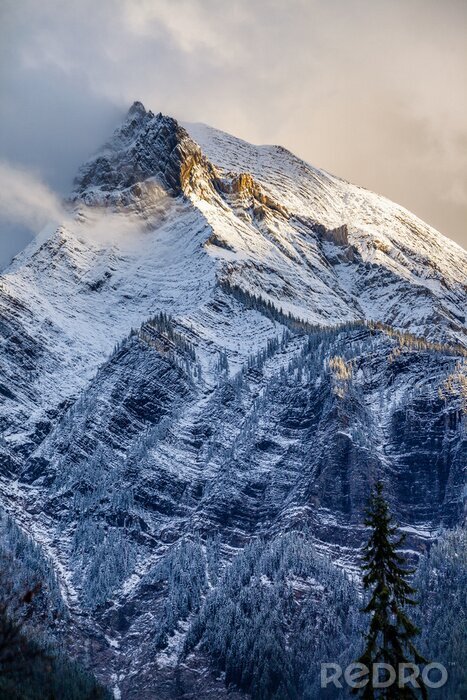 Poster  Neige fraîche sur un sommet de montagne dans les Rocheuses canadiennes, British C