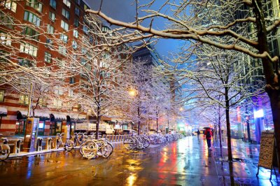 Poster  New York en hiver