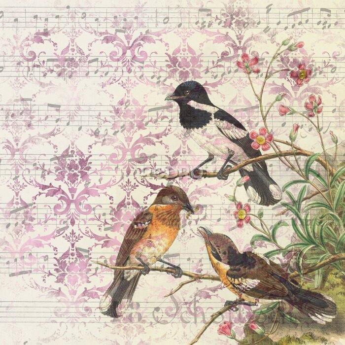 Poster  Notes de musique et collage d'oiseaux rétro vintage