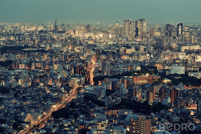 Poster  nuit de Tokyo