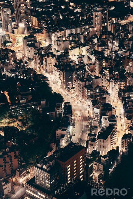 Poster  nuit de Tokyo