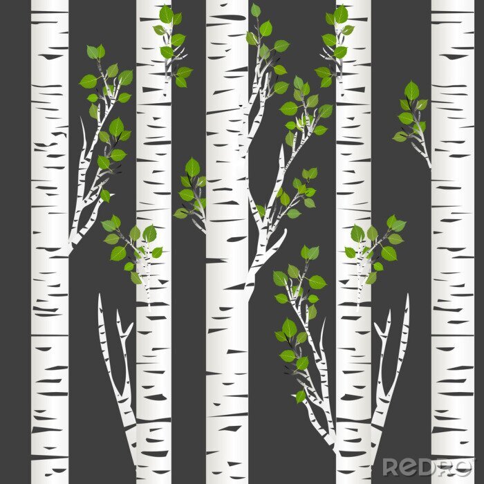 Poster  Nuit noire dans les bouleaux