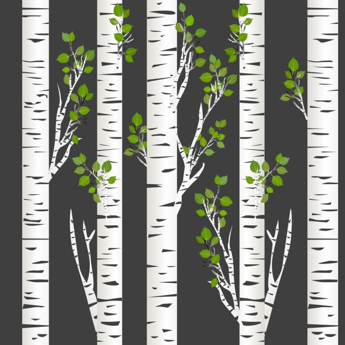 Poster  Nuit noire dans les bouleaux