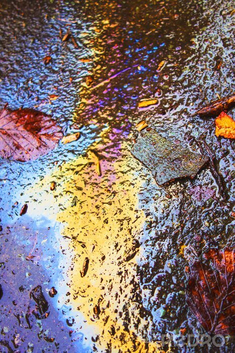 Poster  Oil Petrol Rainbow Leak on Pavement 