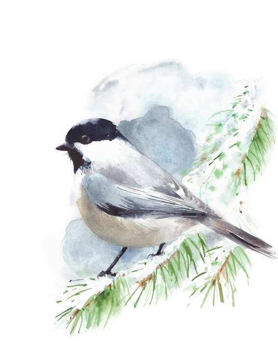 Poster  Oiseau aquarelle sur une branche