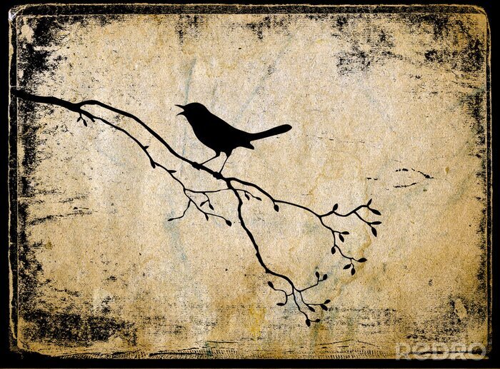 Poster  Oiseau chanteur sur une branche