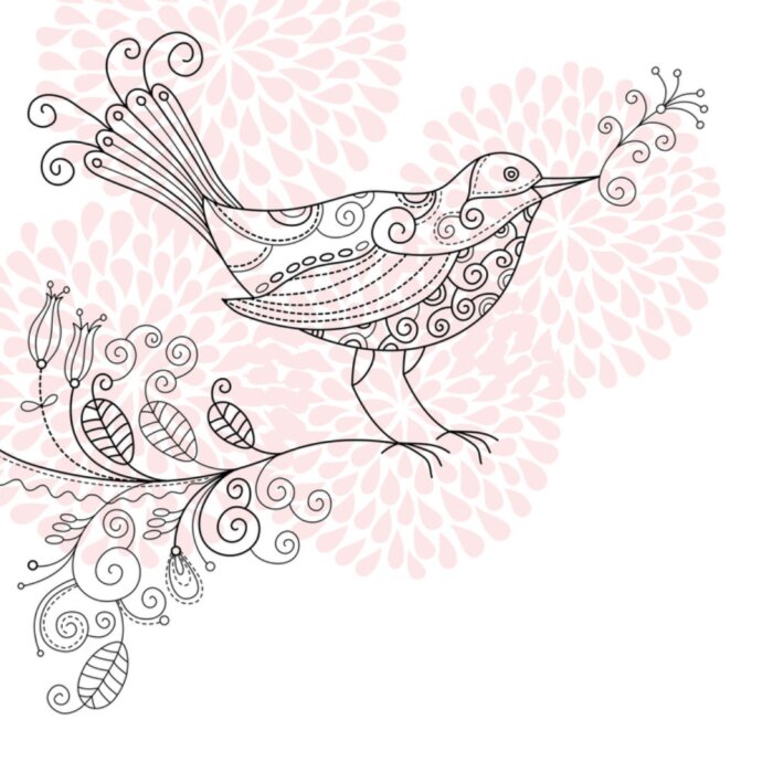 Poster  oiseau shabby