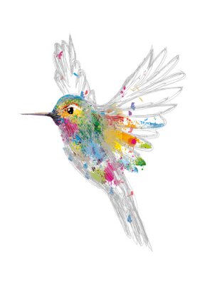 Sticker  Oiseau version dessin