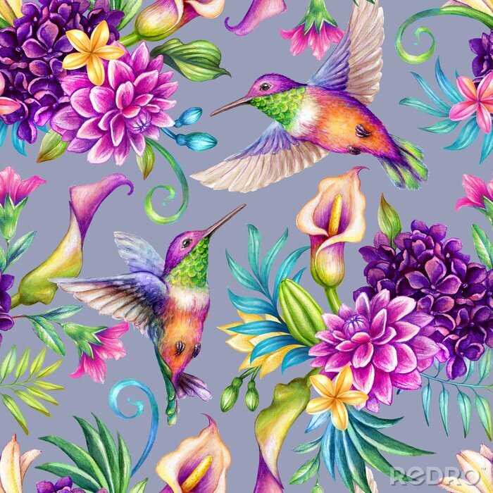 Poster  Oiseaux arc-en-ciel et fleurs colorées