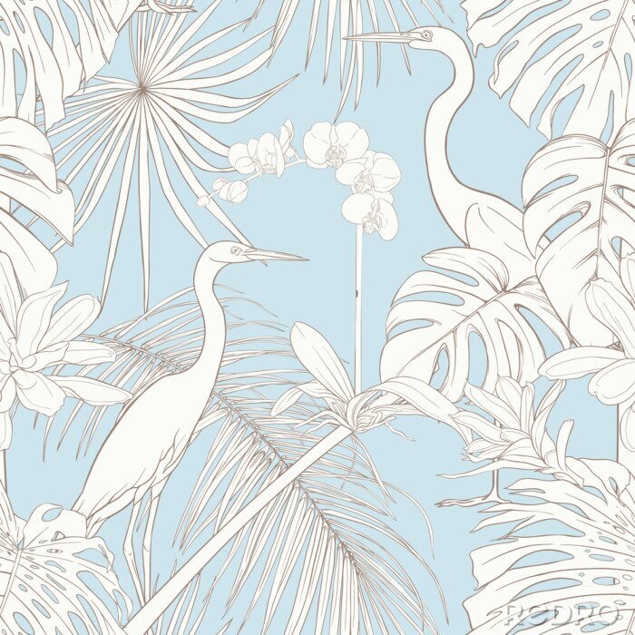 Poster  Oiseaux blancs sous les tropiques