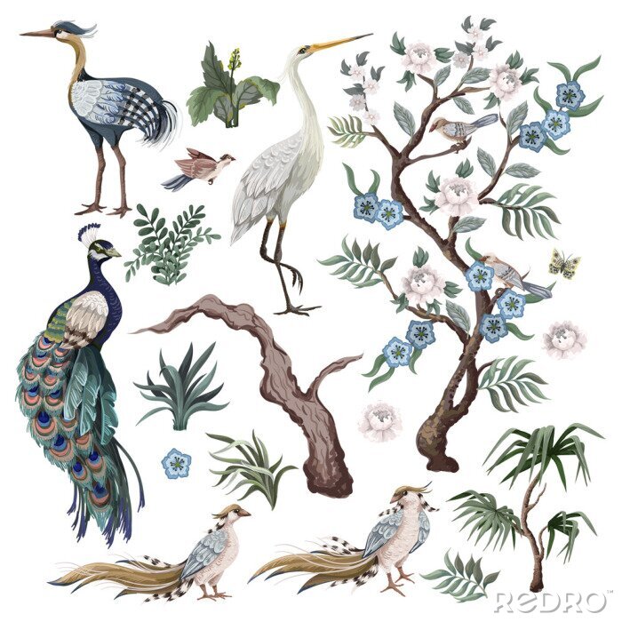 Poster  Oiseaux et plantes