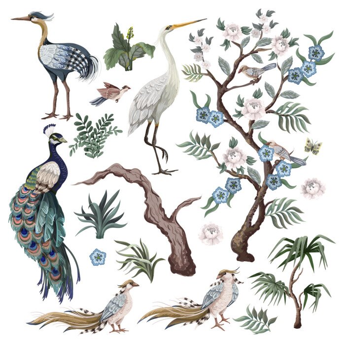 Poster  Oiseaux et plantes
