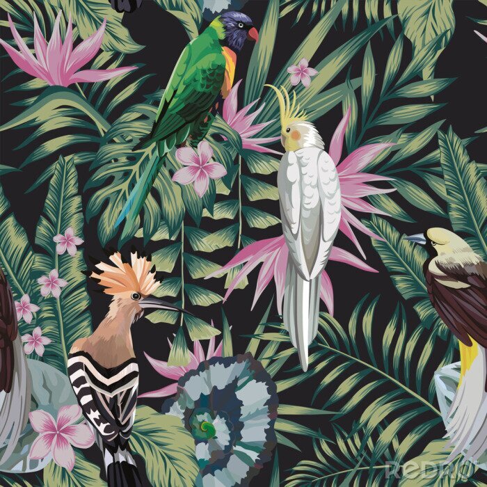 Poster  Oiseaux exotiques parmi les feuilles tropicales