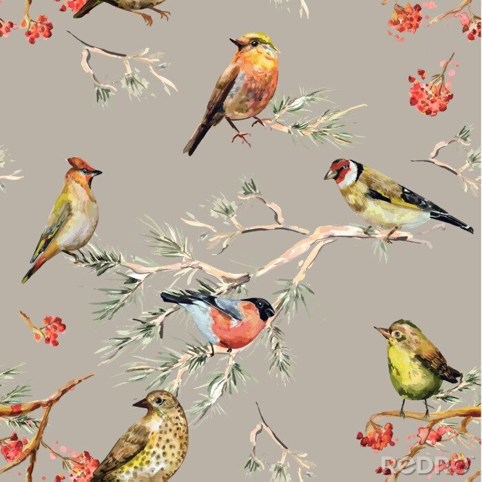 Poster  Oiseaux forestiers et rowan