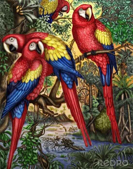 Poster  Oiseaux perroquets exotiques