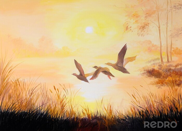Poster  Oiseaux sur fond de coucher de soleil