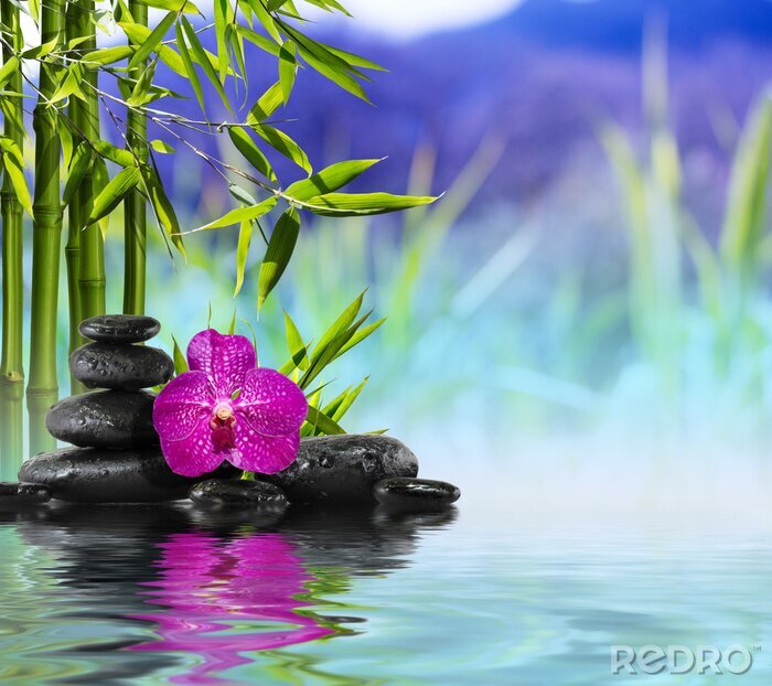 Poster  Orchidée mauve et bambou sur l'eau