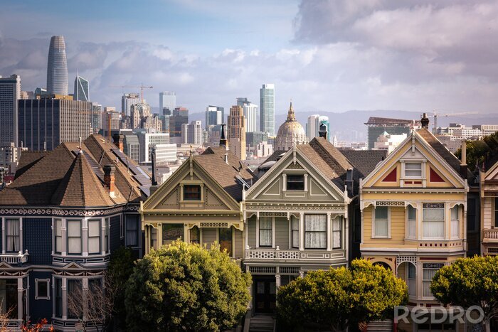 Poster  Painted Ladies houses and San Francisco's skyline at the back, California State, United States.
