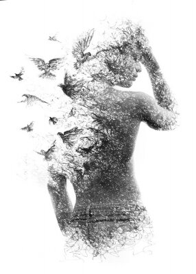 Poster  Paintography. Double exposure of a shirtless male model combined with handmade pen drawing of birds flying away and disintegrating, black and white