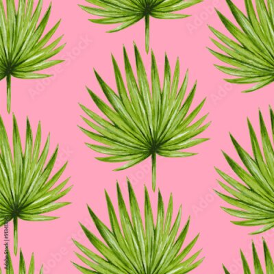 Poster  Palmier à feuilles rondes sur fond rose