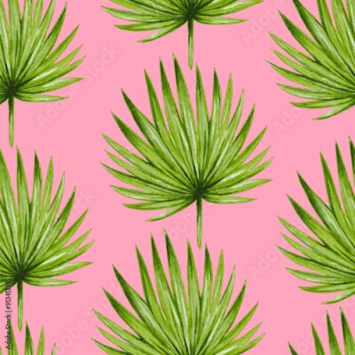 Poster  Palmier à feuilles rondes sur fond rose