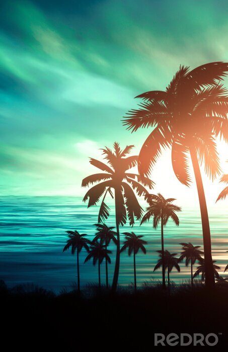 Poster  Palmiers au coucher du soleil