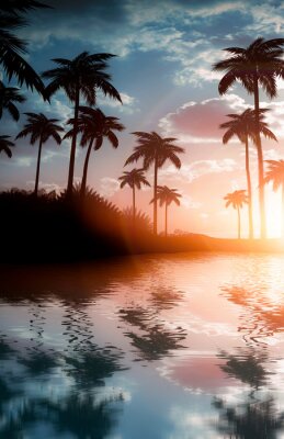 Poster  Palmiers au coucher du soleil reflétés dans l'eau