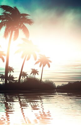Poster  Palmiers au coucher du soleil sur l'eau