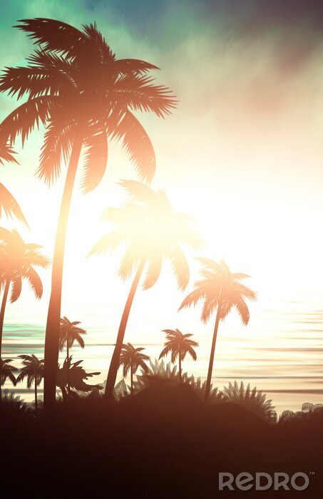 Poster  Palmiers éclairés par le soleil levant