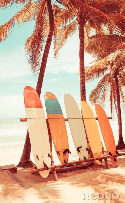 Poster  Palmiers et planches de surf sur la plage