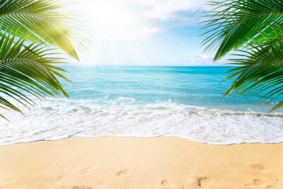 Palmiers, plage et océan