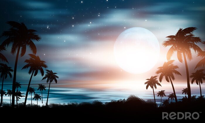 Poster  Palmiers sur fond de ciel nocturne